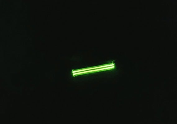 Walking dog in pitch black at night without street lights using green LED dog collar for light