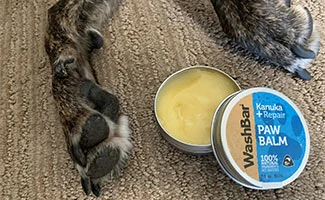 Sally's dog paws next to WashBar paw balm
