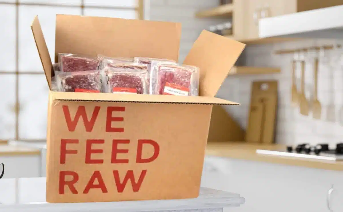Complete review of Open Farm Raw Mix for dogs: pros and cons