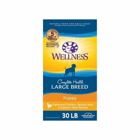 Wellness Complete Health Large Breed Puppy