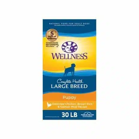 Wellness Complete Health Large Breed Puppy