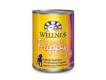 Wellness Complete Puppy