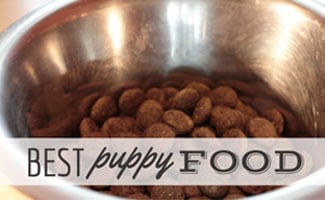 Bowl of puppy kibble (caption: Best Puppy Food)