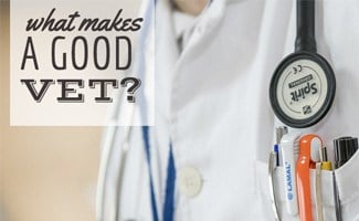 What Makes a Good Vet? Vet jacket