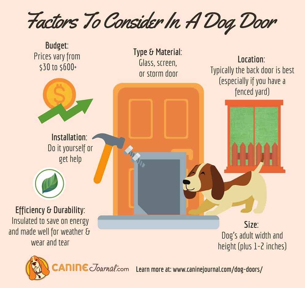 Infographic: Factors to consider in a dog door