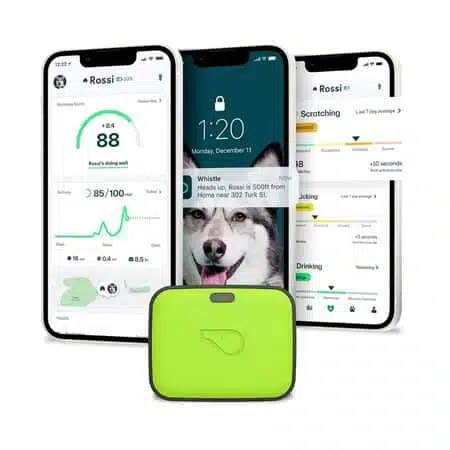 Canine fitbit on sale