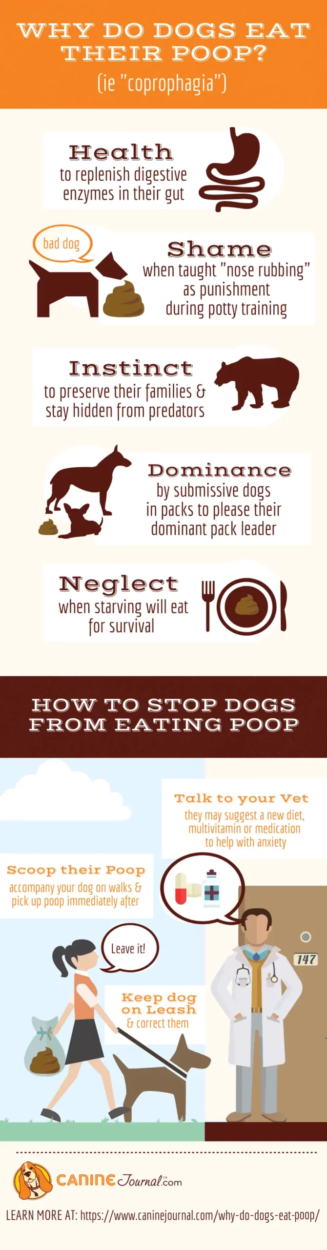 Why Dogs Eat Poop Infographic