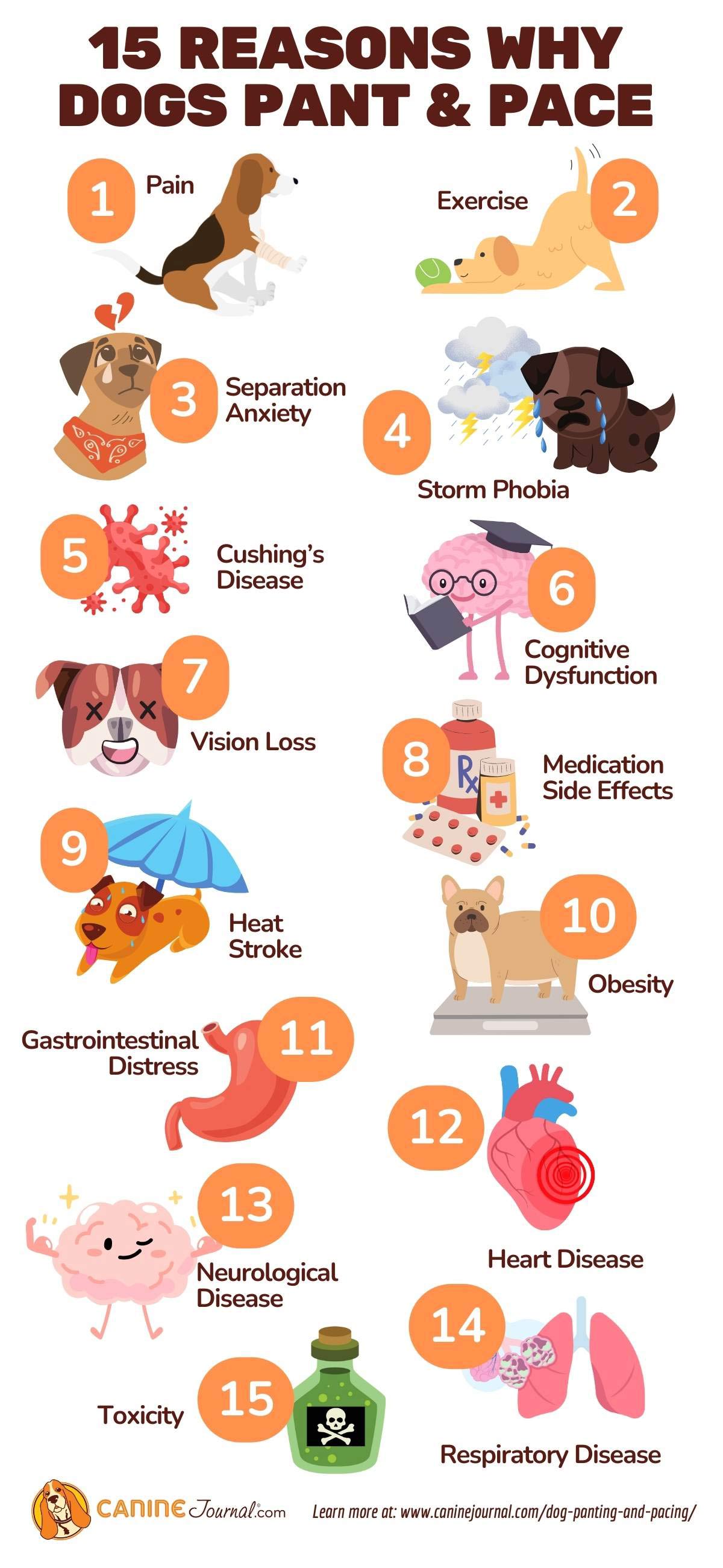 15 reasons why dogs pant and pace graphic.