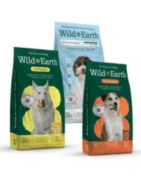 wild earth recipes