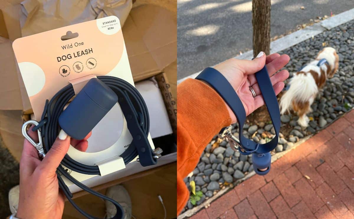 Wild One leash and poop bag holder in use.