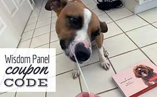 Dog beside Wisdom Panel DNA Test Box (Caption: Wisdom Panel Coupon Code)