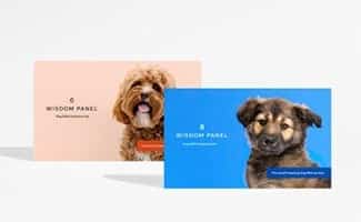 Wisdom Panel DNA test kits