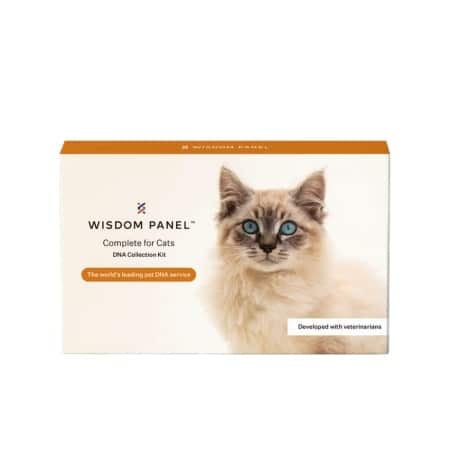 wisdom panel dna test cats