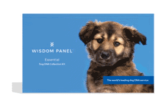 Wisdom Panel Essential DNA Test