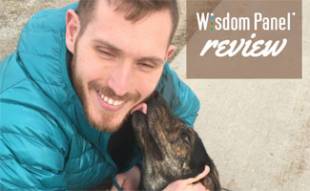 Sally licking dad's face