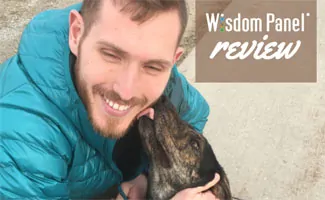Wisdom panel 3.0 clearance reviews