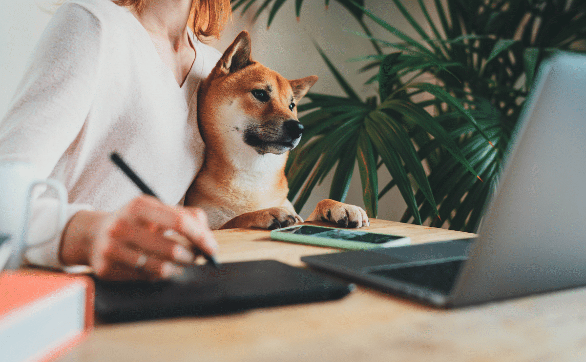 A woman at office working with her dog in lap with laptop on the desk and plant in the background