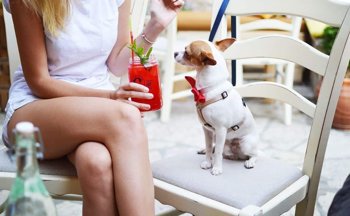 woman bonding with rescue dot on a pation drinking a fruity beverage