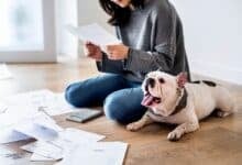 Woman doing taxes sitting on the floor with dog.