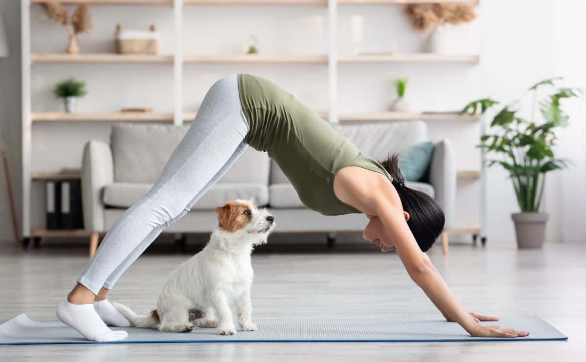 Woman down down dog yoga pose with small dog under her.