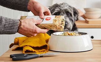 Woman feeding dog The Farmer's Dog in bowl