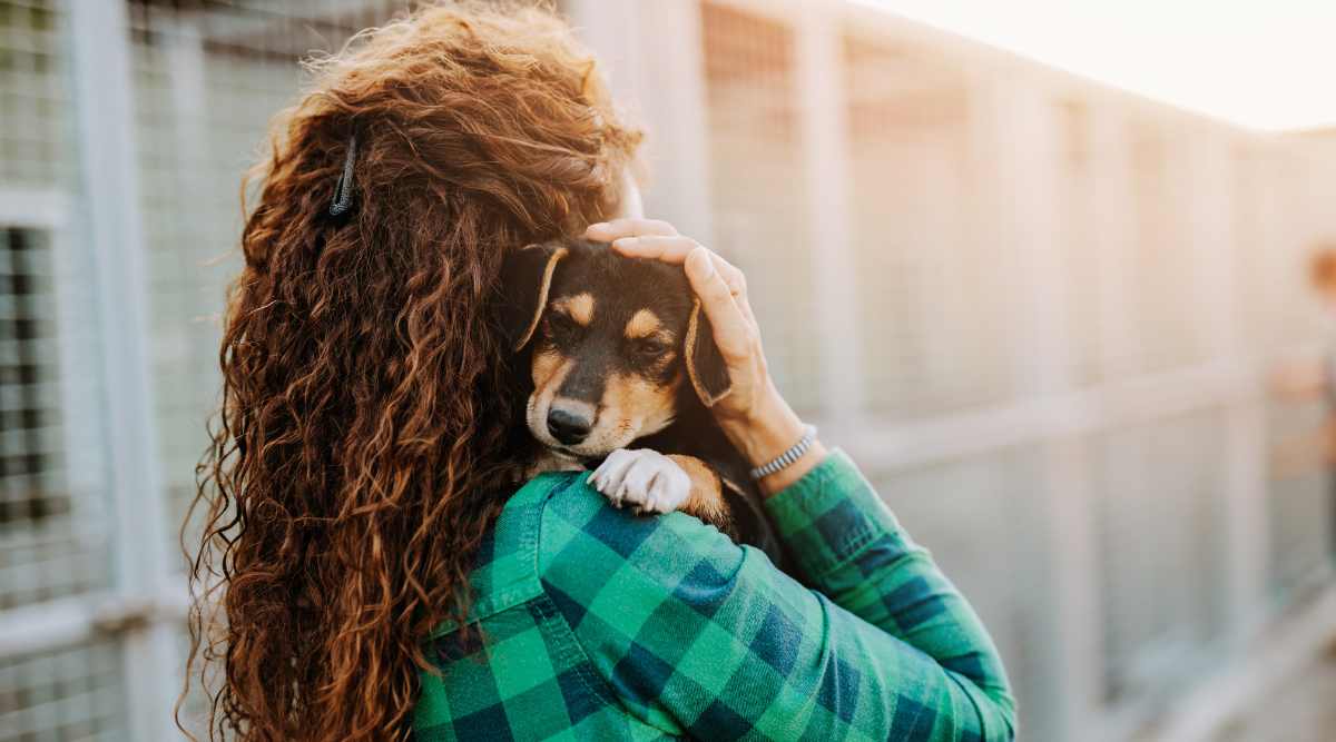 woman holding rescue puppy at shelter