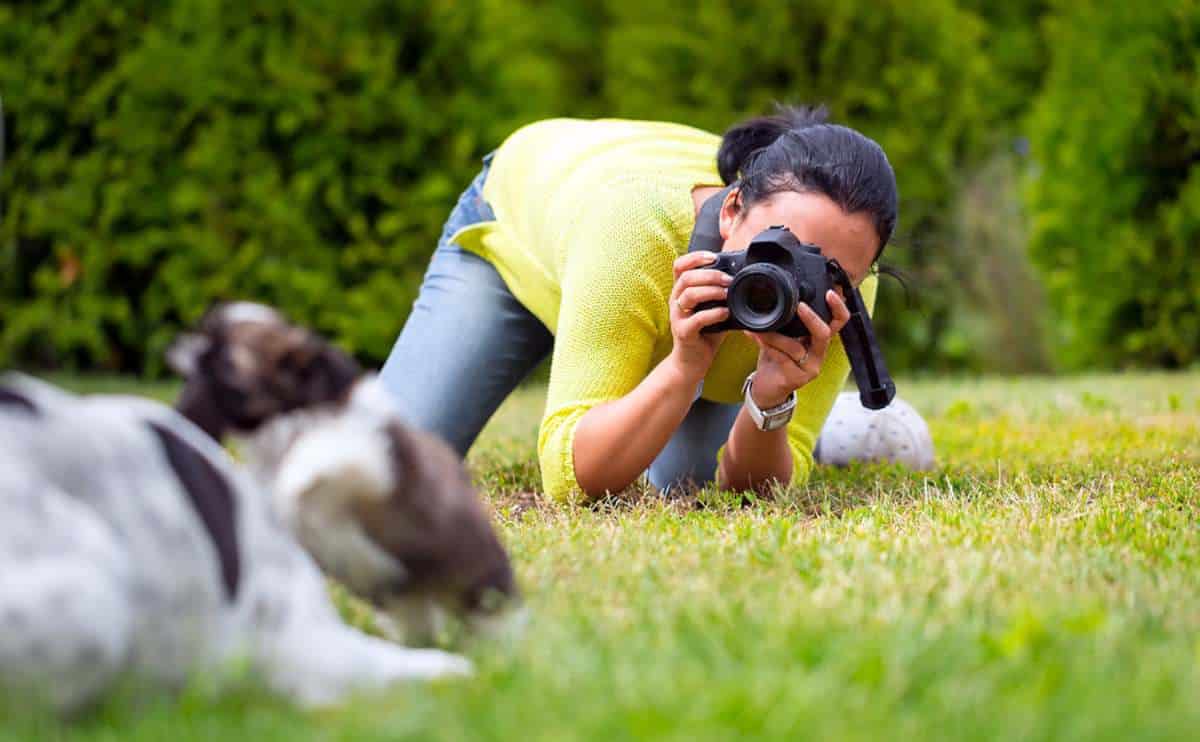 Woman kneeling on the grass taking a photo of dogs.