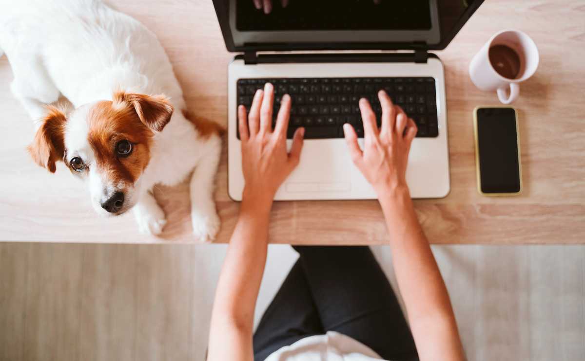 A woman on computer typing with dog in lap overhead view.