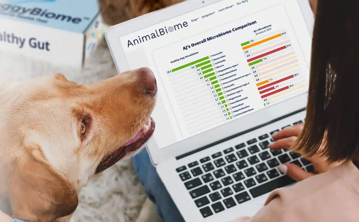 woman on computer with animalbiome on screen and dog snout