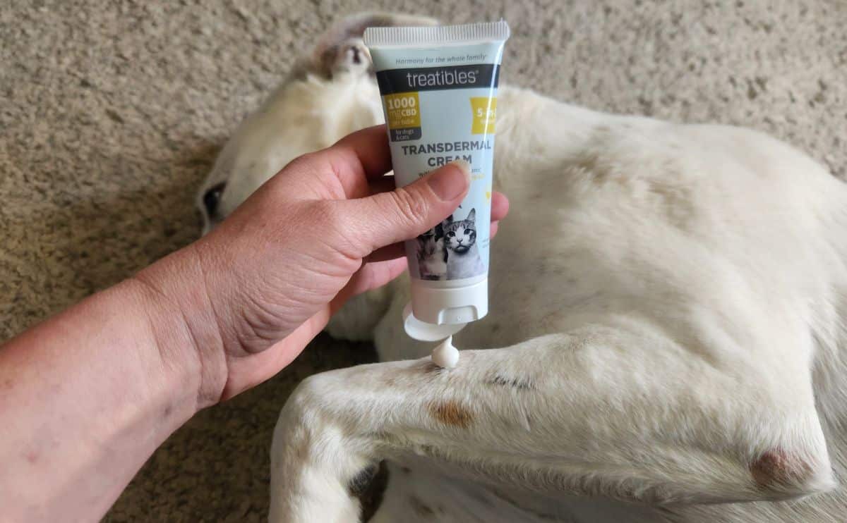 A woman putting treatable cream on dog laying on the ground.