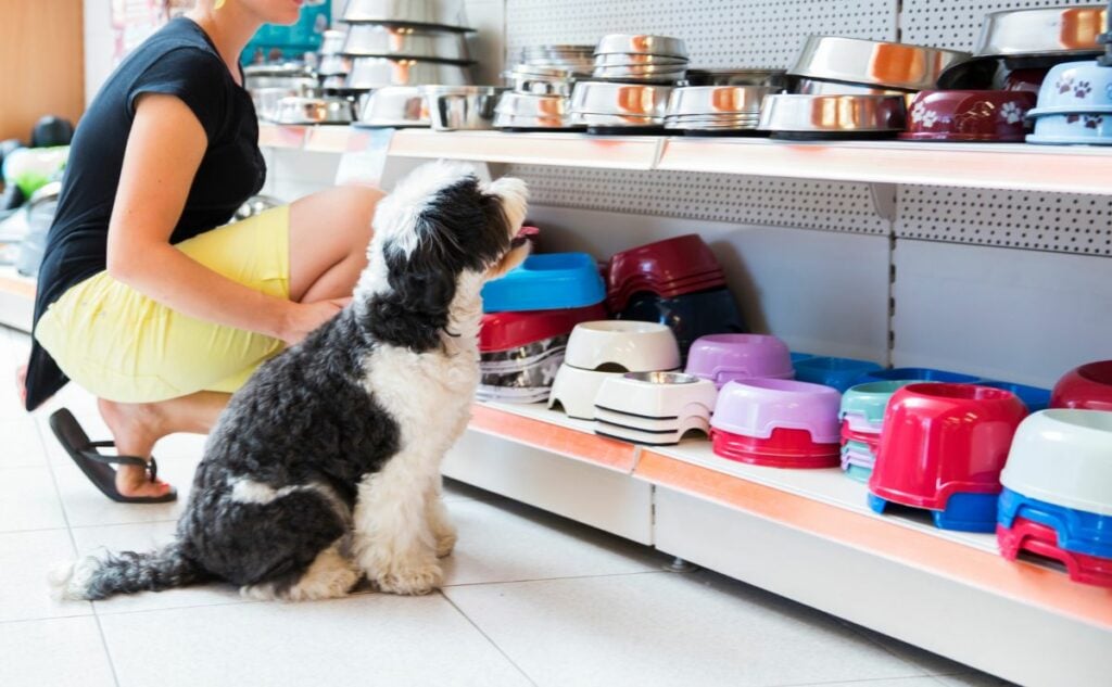 Woman shopping for dog bowls at a pet store with a dog.