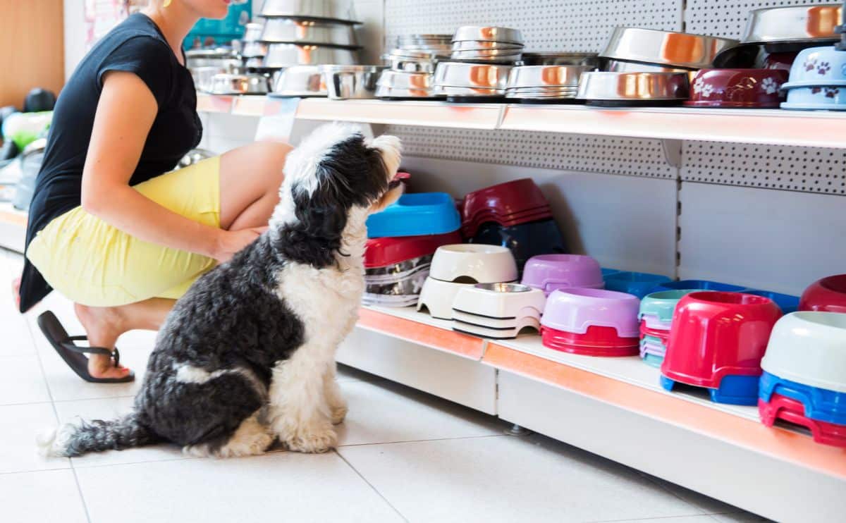 Woman shopping for dog bowls at a pet store with a dog.