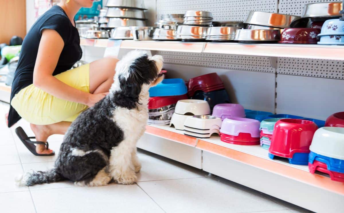 woman shopping for dog bowls at a pet store with a dog