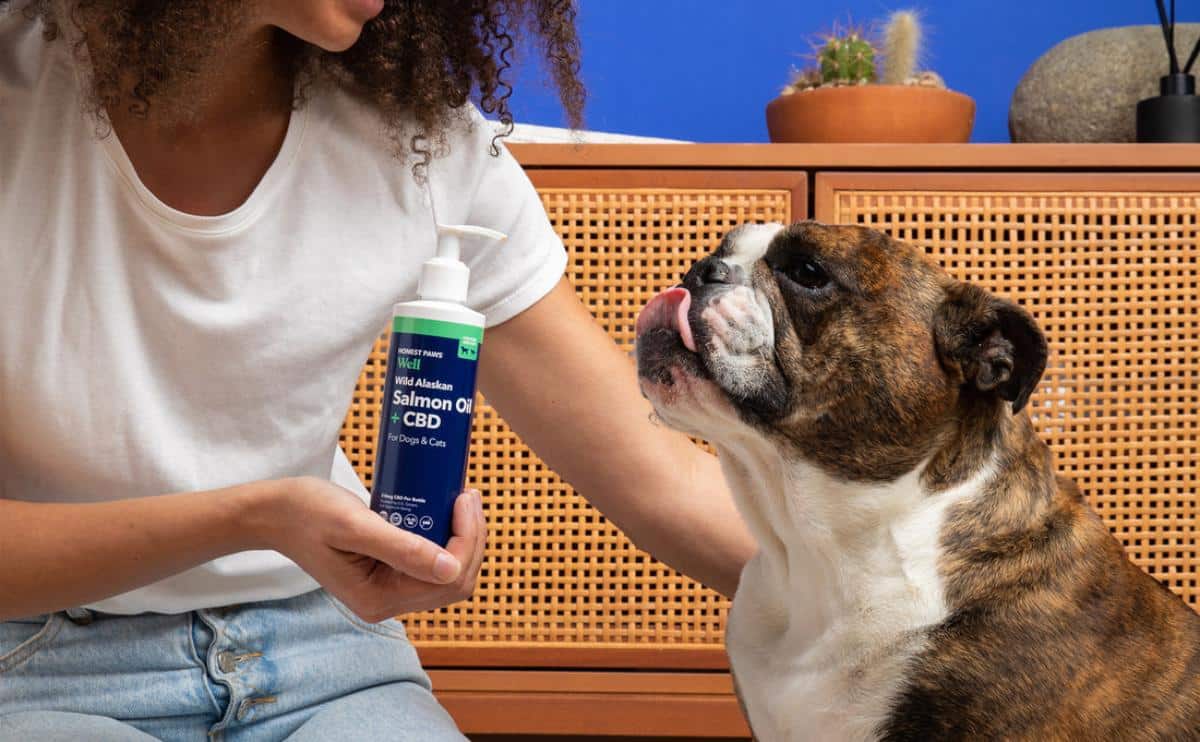 woman showing bottle of honest paws salmon oil to a bulldog sitting on the ground next to her