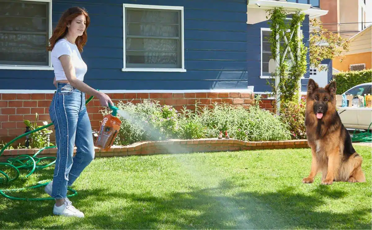 woman using Gnome Lawn Care spray in yard with dog sitting watching