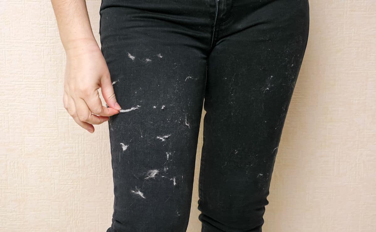 woman with dog hair all over dark pants